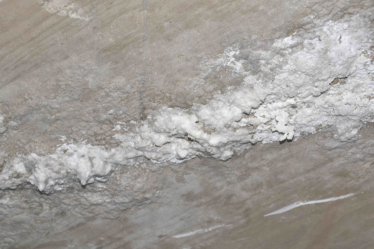 Figure 1. White crystalline deposits along a concrete soffit.