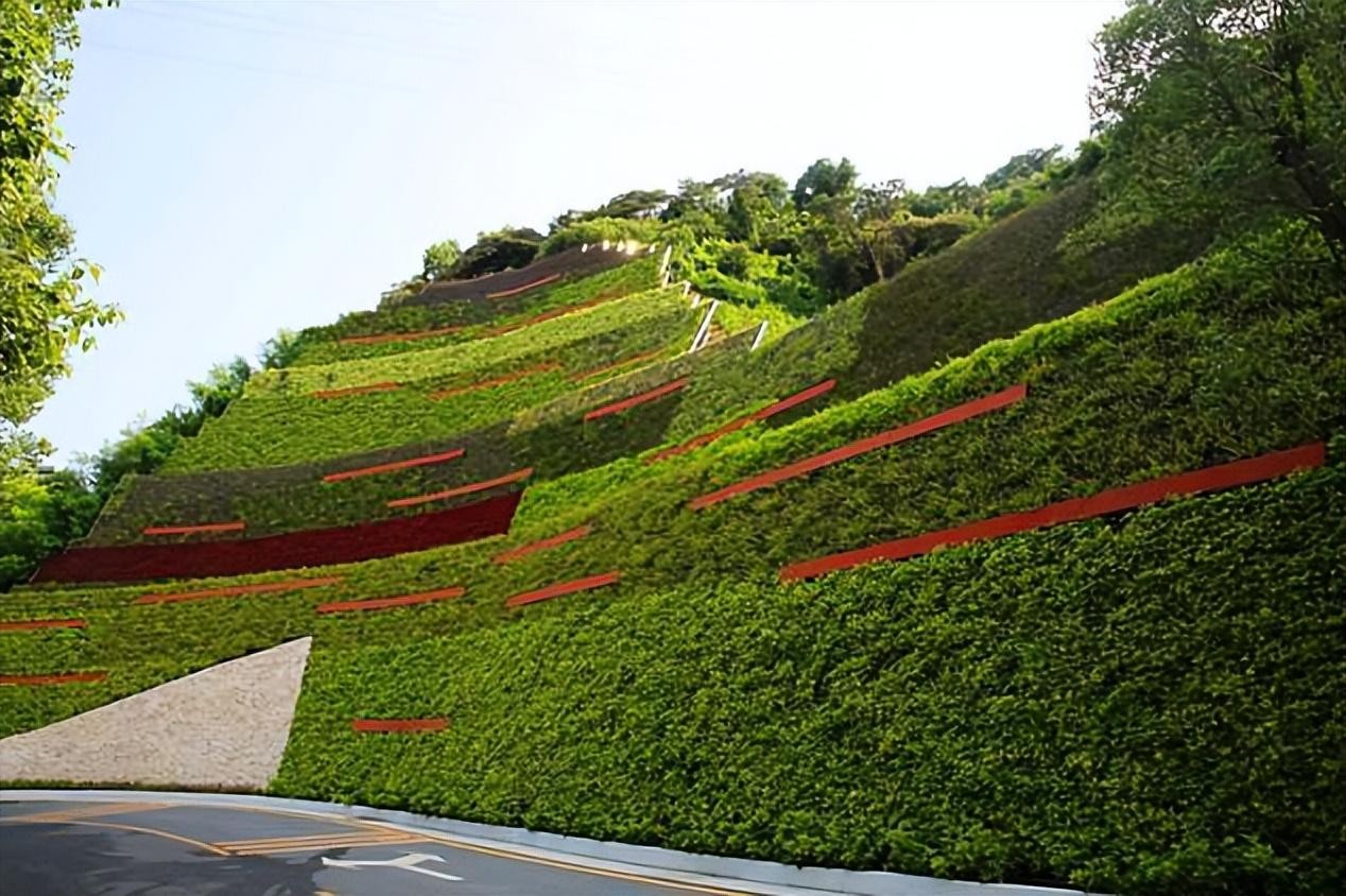 Figure_3: Stabilised Slope Incorporating Various Engineering Methods in China